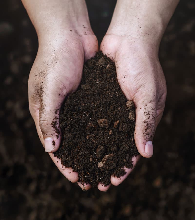 Valorization of organic matter in hands | ETC Alfred