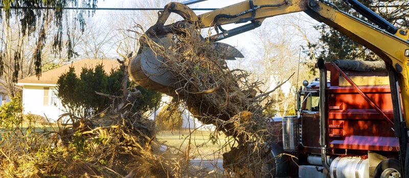 Bulk Transport of organic matter being loaded | ETC Alfred
